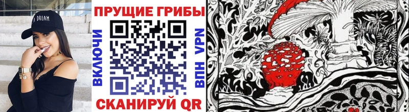 купить закладку Светлый Галлюциногенные грибы Cubensis