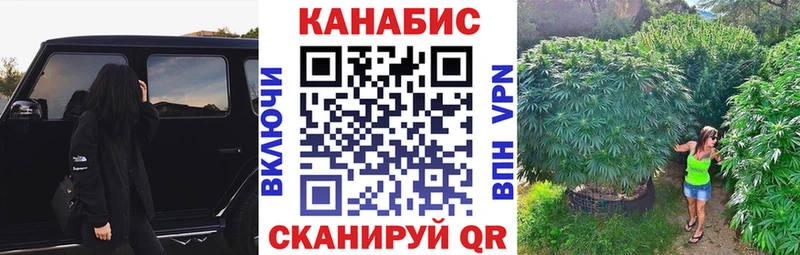omg tor  цена наркотик  Светлый  Канабис семена 